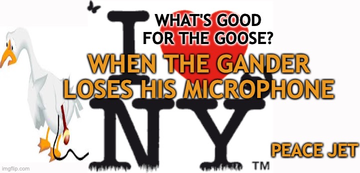 WHAT'S GOOD FOR THE GOOSE IS GOOD FOR THE GANDER | WHAT'S GOOD FOR THE GOOSE? WHEN THE GANDER LOSES HIS MICROPHONE; PEACE JET | image tagged in andrew cuomo,chris cuomo,cnn fake news,retirement | made w/ Imgflip meme maker