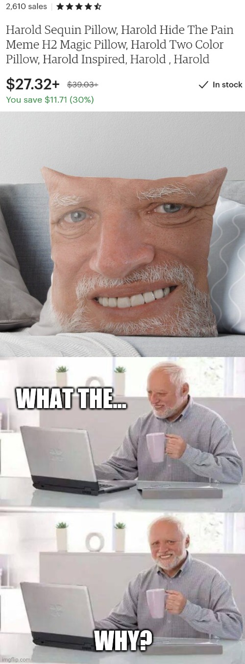 GOTTA GET ME ONE OF THOSE | WHAT THE... WHY? | image tagged in memes,hide the pain harold,harold,etsy,pillow | made w/ Imgflip meme maker