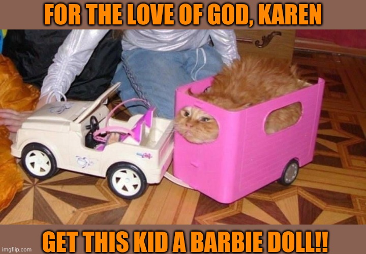 KITTY IS GONNA LOSE IT | FOR THE LOVE OF GOD, KAREN; GET THIS KID A BARBIE DOLL!! | image tagged in cats,funny cats,kitty | made w/ Imgflip meme maker