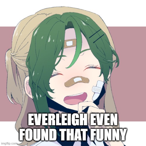 everliegh | EVERLEIGH EVEN FOUND THAT FUNNY | image tagged in everliegh | made w/ Imgflip meme maker