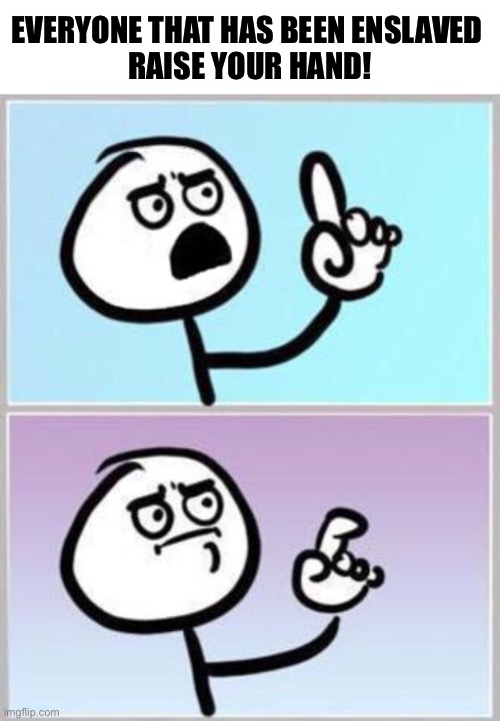 Wait what? | EVERYONE THAT HAS BEEN ENSLAVED 
RAISE YOUR HAND! | image tagged in wait what | made w/ Imgflip meme maker
