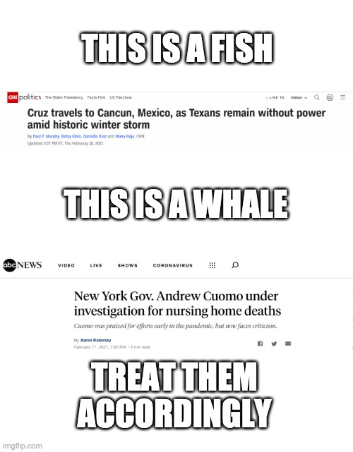 Don't turn fishes into whales | THIS IS A FISH; THIS IS A WHALE; TREAT THEM ACCORDINGLY | image tagged in blank white template,fishes into whales,fish to whale,ted cruz,andrew cuomo | made w/ Imgflip meme maker