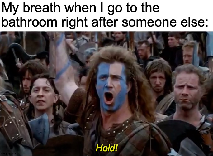 Is it static? | My breath when I go to the bathroom right after someone else:; Hold! https://www.youtube.com/watch?v=g_kGPbCjU2s | image tagged in memes,bathroom,rules | made w/ Imgflip meme maker
