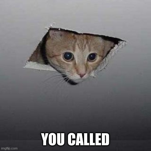 Ceiling Cat Meme | YOU CALLED | image tagged in memes,ceiling cat | made w/ Imgflip meme maker