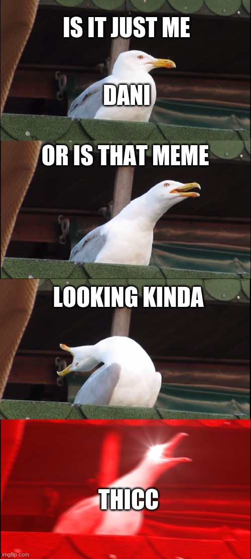 Dani in all videos | IS IT JUST ME; DANI; OR IS THAT MEME; LOOKING KINDA; THICC | image tagged in memes,inhaling seagull | made w/ Imgflip meme maker