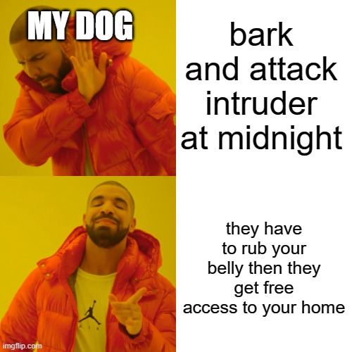 Drake Hotline Bling Meme | bark and attack intruder at midnight; MY DOG; they have to rub your belly then they get free access to your home | image tagged in memes,drake hotline bling | made w/ Imgflip meme maker