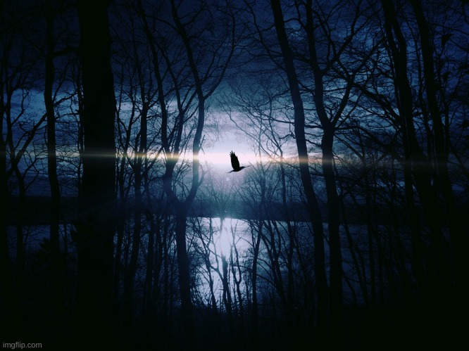 Moonlight | image tagged in moonlight | made w/ Imgflip meme maker