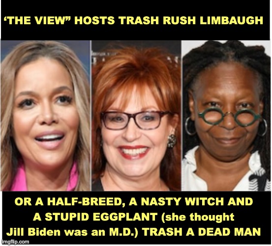 The View trash Rush | image tagged in disrespect | made w/ Imgflip meme maker