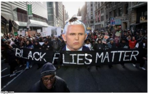 Judas Pence  "Black Flies Matter" | image tagged in judas pence black flies matter | made w/ Imgflip meme maker