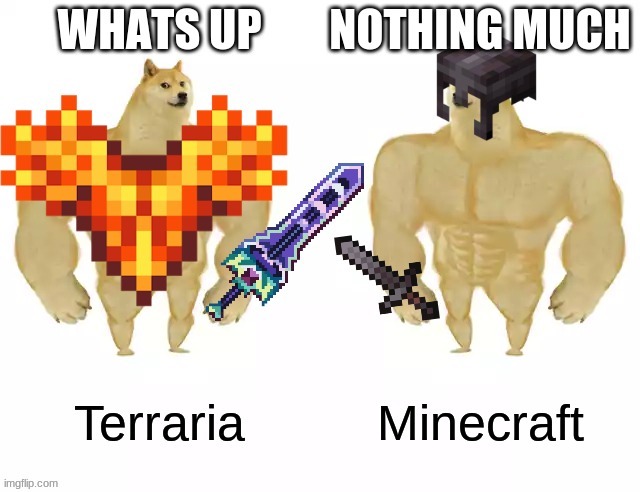 The Terraria Minecraft relationship in a nutshell | image tagged in minecraft,terraria,buff doge vs buff doge | made w/ Imgflip meme maker