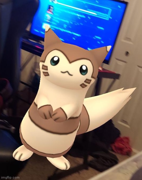 I FINALLY GOT A FURRET IN POKEMON GO | made w/ Imgflip meme maker
