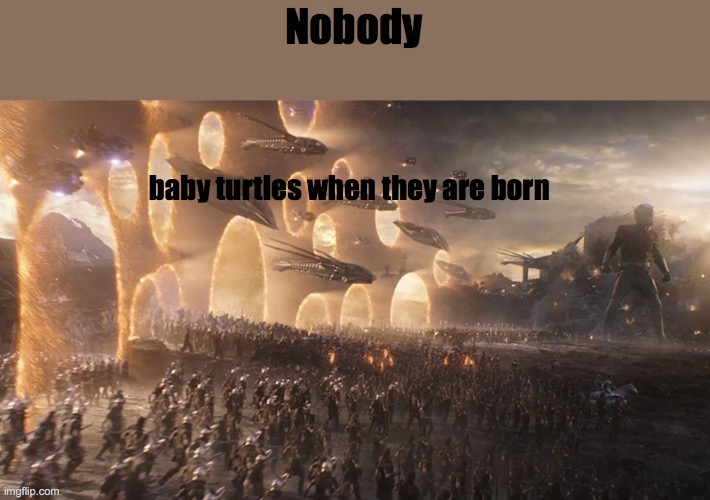 memes #4 | Nobody; baby turtles when they are born | image tagged in avengers endgame final battle | made w/ Imgflip meme maker