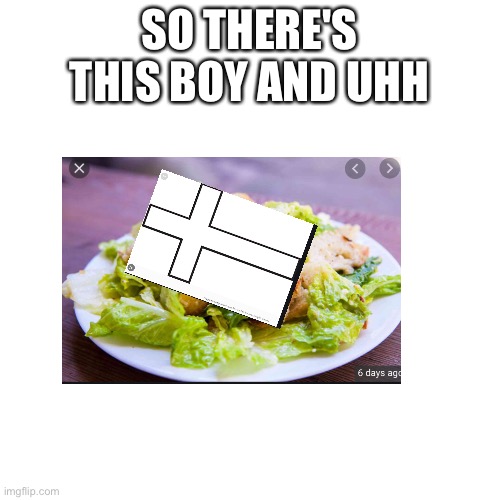 Blank Transparent Square | SO THERE'S THIS BOY AND UHH | image tagged in memes,blank transparent square,shhhiiiizzzzaaaa_nooooo | made w/ Imgflip meme maker