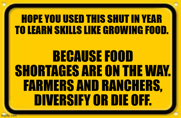 Blank Yellow Sign | HOPE YOU USED THIS SHUT IN YEAR TO LEARN SKILLS LIKE GROWING FOOD. BECAUSE FOOD SHORTAGES ARE ON THE WAY.
FARMERS AND RANCHERS, DIVERSIFY OR DIE OFF. | image tagged in memes,blank yellow sign | made w/ Imgflip meme maker