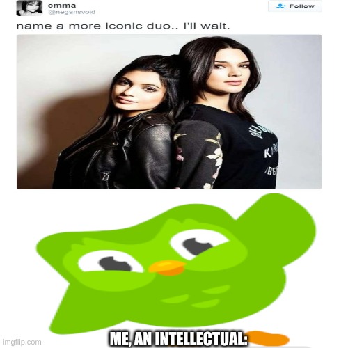 Spanish or vanish. | ME, AN INTELLECTUAL: | image tagged in funny | made w/ Imgflip meme maker