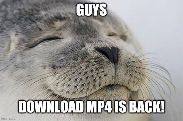 Download MP4 is back | GUYS; DOWNLOAD MP4 IS BACK! | image tagged in memes,satisfied seal,download | made w/ Imgflip meme maker