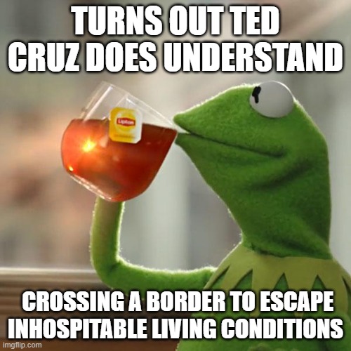 But That's None Of My Business Meme | TURNS OUT TED CRUZ DOES UNDERSTAND; CROSSING A BORDER TO ESCAPE INHOSPITABLE LIVING CONDITIONS | image tagged in memes,but that's none of my business,kermit the frog | made w/ Imgflip meme maker