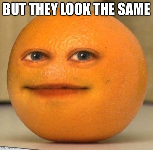 Annoying Orange Suprised | BUT THEY LOOK THE SAME | image tagged in annoying orange suprised | made w/ Imgflip meme maker