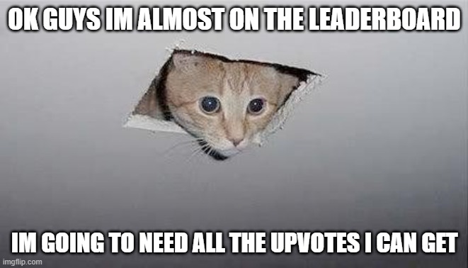 ceiling cat | OK GUYS IM ALMOST ON THE LEADERBOARD; IM GOING TO NEED ALL THE UPVOTES I CAN GET | image tagged in ceiling cat | made w/ Imgflip meme maker