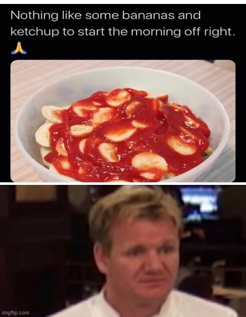 just...why, why would u do this? | image tagged in blank white template,disgusted gordon ramsay | made w/ Imgflip meme maker