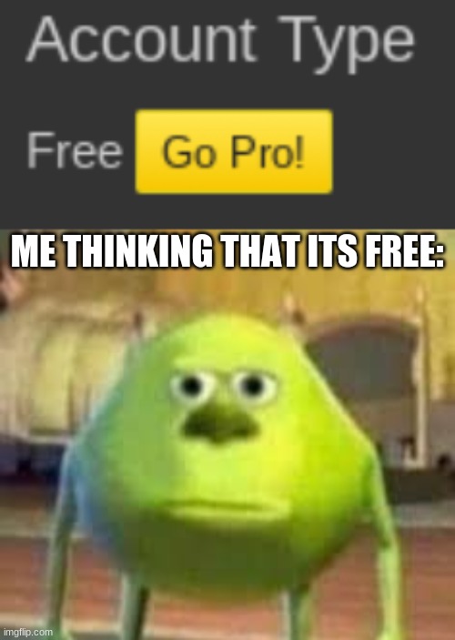 i actually thought it was lol | ME THINKING THAT ITS FREE: | image tagged in funny,mike wasowski sully face swap,mike wazowski,memes | made w/ Imgflip meme maker