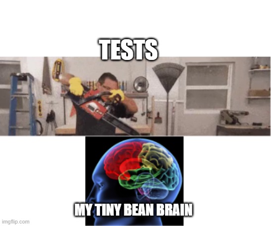 Tests Be Like: | TESTS; MY TINY BEAN BRAIN | image tagged in tests,meme,vote,views | made w/ Imgflip meme maker