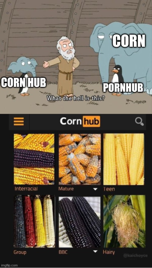 y doe | CORN; CORN HUB; PORNHUB | image tagged in what the hell is this | made w/ Imgflip meme maker