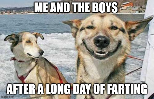Original Stoner Dog | ME AND THE BOYS; AFTER A LONG DAY OF FARTING | image tagged in memes,original stoner dog | made w/ Imgflip meme maker