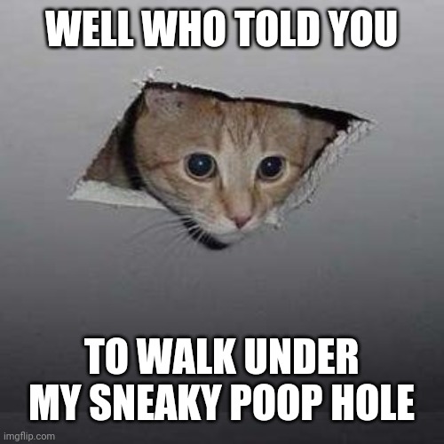 Ceiling Cat | WELL WHO TOLD YOU; TO WALK UNDER MY SNEAKY POOP HOLE | image tagged in memes,ceiling cat | made w/ Imgflip meme maker