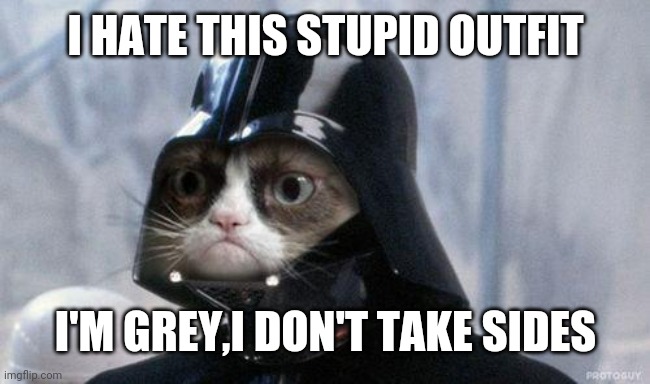 Grumpy Cat Star Wars | I HATE THIS STUPID OUTFIT; I'M GREY,I DON'T TAKE SIDES | image tagged in memes,grumpy cat star wars,grumpy cat | made w/ Imgflip meme maker