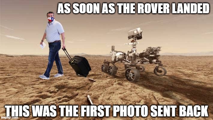 Rover's First Image | AS SOON AS THE ROVER LANDED; THIS WAS THE FIRST PHOTO SENT BACK | image tagged in ted cruz | made w/ Imgflip meme maker
