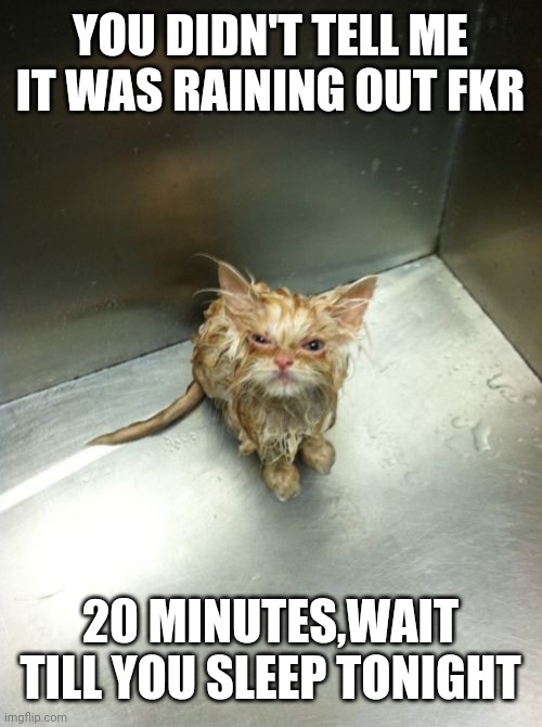 Kill You Cat |  YOU DIDN'T TELL ME IT WAS RAINING OUT FKR; 20 MINUTES,WAIT TILL YOU SLEEP TONIGHT | image tagged in memes,kill you cat | made w/ Imgflip meme maker
