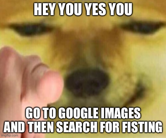 Try it | HEY YOU YES YOU; GO TO GOOGLE IMAGES AND THEN SEARCH FOR FISTING | image tagged in cheems pointing at you,memes,nsfw,funny,cheems | made w/ Imgflip meme maker