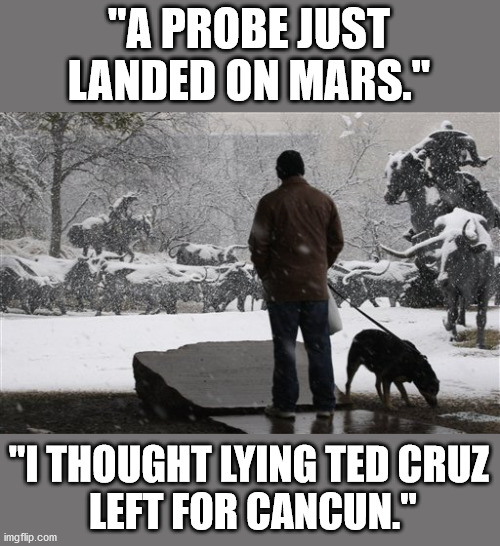 Ted Cruz fled Texas for Cancun or Mars | "A PROBE JUST LANDED ON MARS."; "I THOUGHT LYING TED CRUZ
 LEFT FOR CANCUN." | image tagged in ted cruz,hypocrite,texas,bad dad,lying,electricity | made w/ Imgflip meme maker