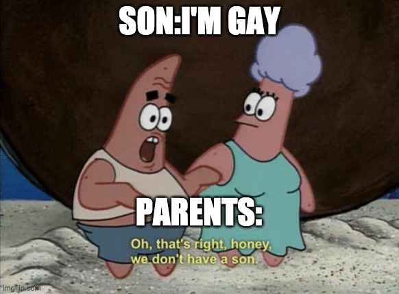 Disappointed Parrents |  SON:I'M GAY; PARENTS: | image tagged in gay,parents,disappointed,lgbtq,life sucks,funny | made w/ Imgflip meme maker