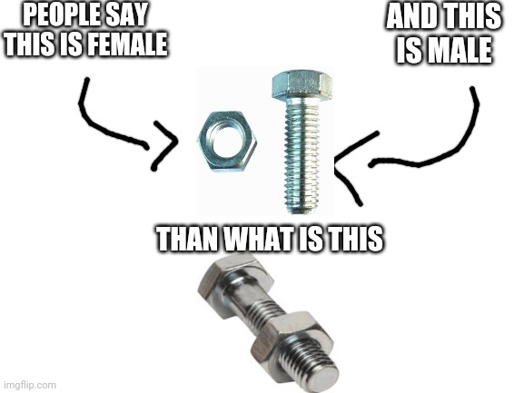 Im back making memes | PEOPLE SAY THIS IS FEMALE; AND THIS IS MALE; THAN WHAT IS THIS | image tagged in blank white template,oh no | made w/ Imgflip meme maker
