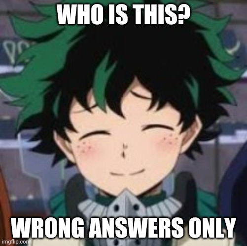 . | WHO IS THIS? WRONG ANSWERS ONLY | image tagged in deku wholesome smile | made w/ Imgflip meme maker