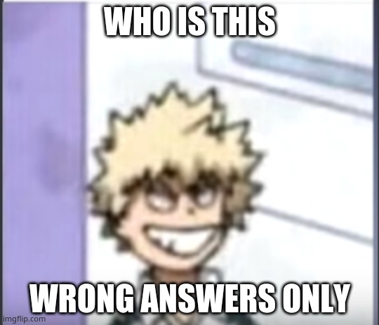 lol | WHO IS THIS; WRONG ANSWERS ONLY | image tagged in bakugo sero smile | made w/ Imgflip meme maker