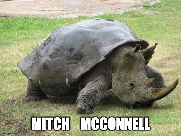 MITCH    MCCONNELL | made w/ Imgflip meme maker