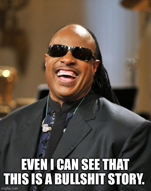 Stevie Wonder | EVEN I CAN SEE THAT THIS IS A BULLSHIT STORY. | image tagged in stevie wonder | made w/ Imgflip meme maker