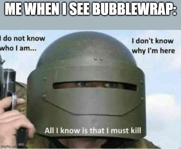 All i know is that i must kill (bottom panel) | ME WHEN I SEE BUBBLEWRAP: | image tagged in all i know is that i must kill bottom panel | made w/ Imgflip meme maker