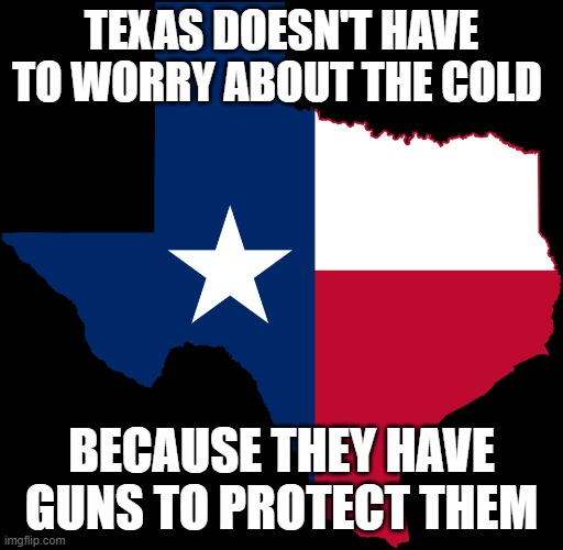 Shouldn't have said it | TEXAS DOESN'T HAVE TO WORRY ABOUT THE COLD; BECAUSE THEY HAVE GUNS TO PROTECT THEM | image tagged in texas map | made w/ Imgflip meme maker
