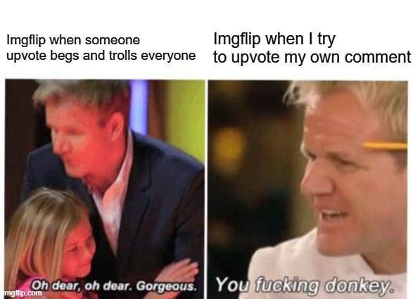 yOu CaNt VoTe On YoUr OwN cOmMeNt, SiLLy | Imgflip when someone upvote begs and trolls everyone; Imgflip when I try to upvote my own comment | image tagged in oh dear oh dear -gr,imgflip | made w/ Imgflip meme maker