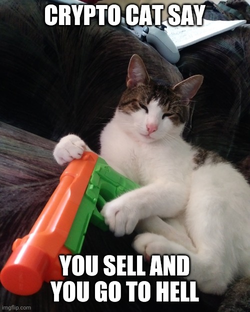 Crypto cat | CRYPTO CAT SAY; YOU SELL AND YOU GO TO HELL | image tagged in crypto cat | made w/ Imgflip meme maker