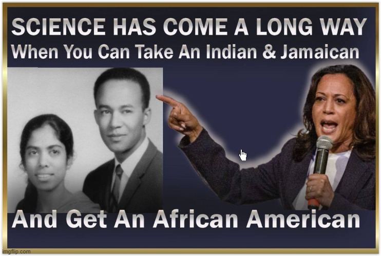 When a former call girl goes into politics, all kinds of wild stuff happens. | image tagged in kamala harris | made w/ Imgflip meme maker