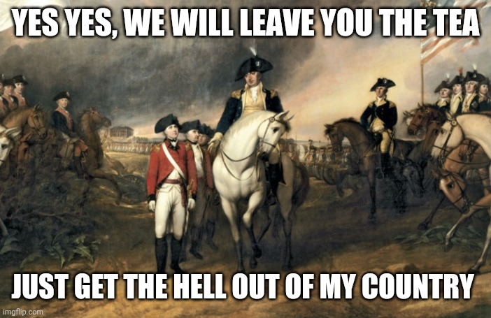 yes yes | YES YES, WE WILL LEAVE YOU THE TEA; JUST GET THE HELL OUT OF MY COUNTRY | image tagged in yes yes | made w/ Imgflip meme maker