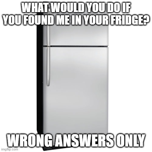 Fridge | WHAT WOULD YOU DO IF YOU FOUND ME IN YOUR FRIDGE? WRONG ANSWERS ONLY | image tagged in fridge | made w/ Imgflip meme maker