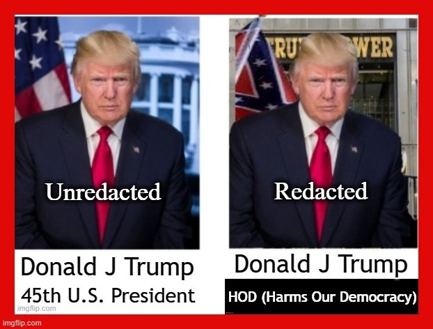 Harms Our Democracy | Unredacted; Redacted | image tagged in never trump,trump,potus45,maga,worse president | made w/ Imgflip meme maker