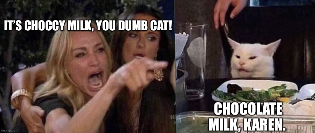 woman yelling at cat | IT’S CHOCCY MILK, YOU DUMB CAT! CHOCOLATE MILK, KAREN. | image tagged in woman yelling at cat | made w/ Imgflip meme maker