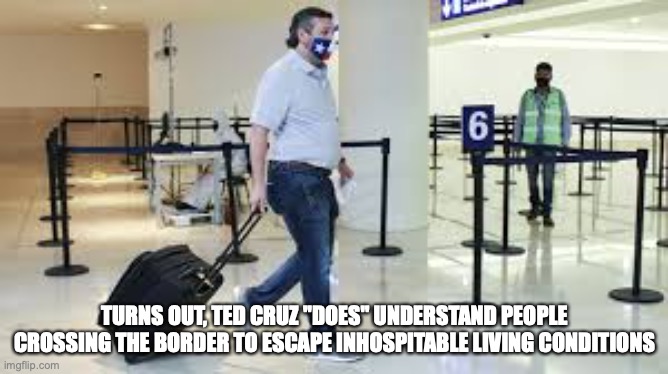 Ted Cruz scumbag jumps the border to Mexico | TURNS OUT, TED CRUZ "DOES" UNDERSTAND PEOPLE CROSSING THE BORDER TO ESCAPE INHOSPITABLE LIVING CONDITIONS | image tagged in ted cruz,mexico,texas,freezing cold | made w/ Imgflip meme maker